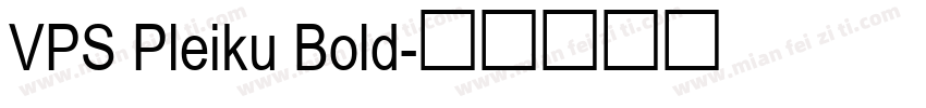 VPS Pleiku Bold字体转换